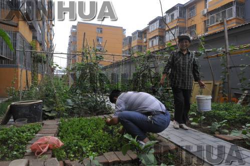 http://www.thaithavorn.com/uploadfile/2014/0714/20140714024832334.jpg