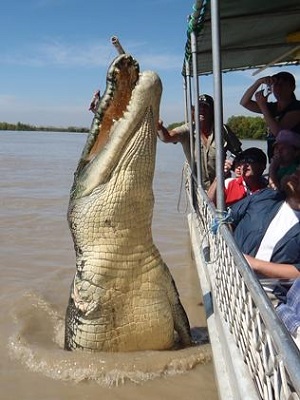 http://www.thaithavorn.com/uploadfile/2014/0819/20140819041818226.jpg