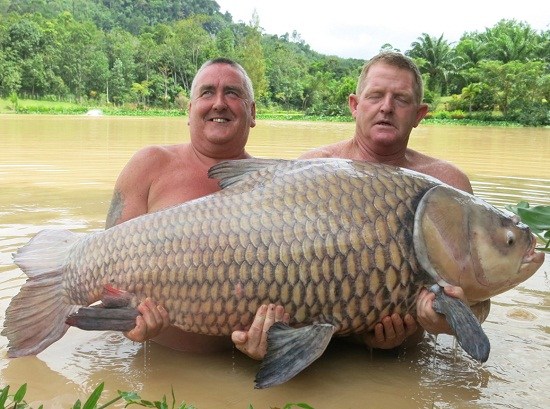 http://www.thaithavorn.com/uploadfile/2014/0821/20140821040628504.jpg