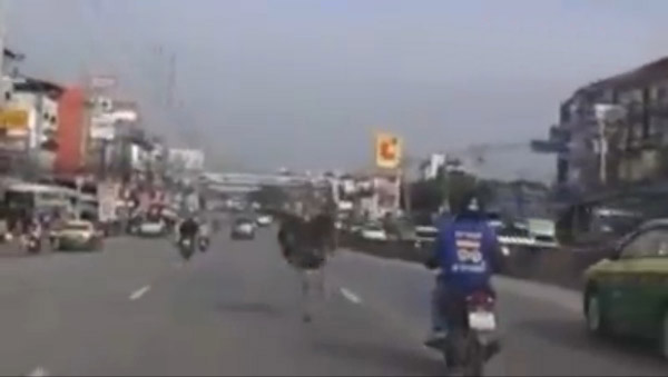 http://www.thaithavorn.com/uploadfile/2014/0904/20140904025142791.jpg