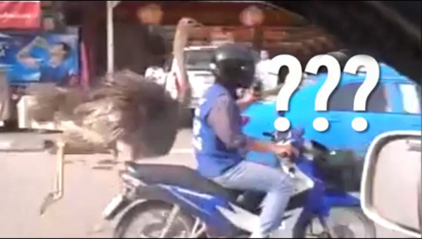http://www.thaithavorn.com/uploadfile/2014/0904/20140904025223309.jpg