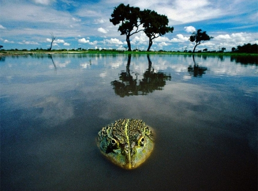 http://www.thaithavorn.com/uploadfile/2014/1008/20141008103251473.bmp