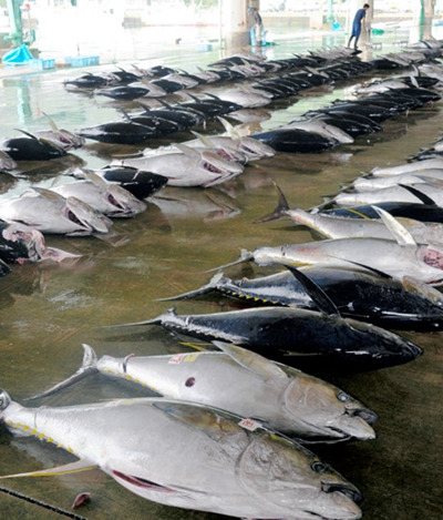 http://www.thaithavorn.com/uploadfile/2015/0627/20150627104115607.jpg
