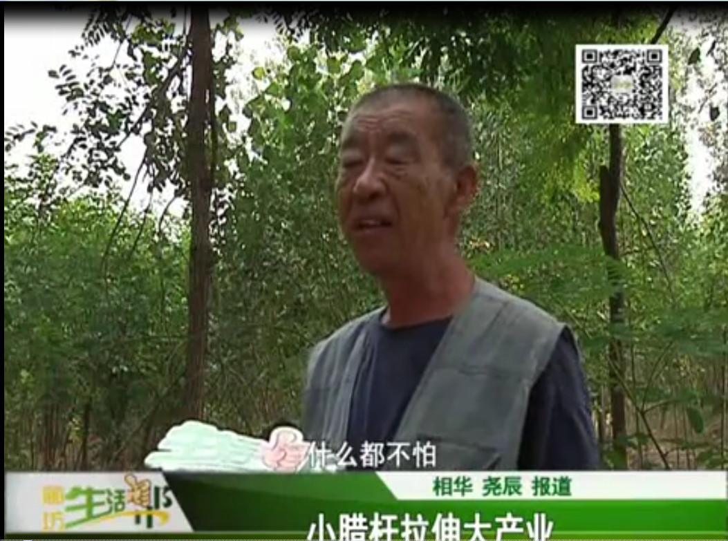小臘桿拉伸大產業(yè)