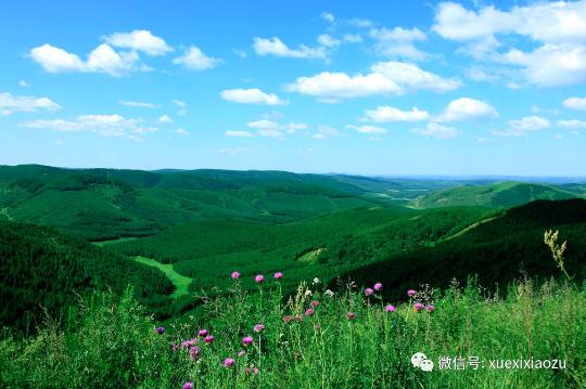 習(xí)總牽掛的塞罕壩，你去過嗎？小組剛?cè)ミ^！