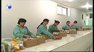 “9.26”農(nóng)交會(huì)綜述：農(nóng)交會(huì)引領(lǐng)廊坊都市型現(xiàn)代農(nóng)業(yè)開(kāi)啟新空間