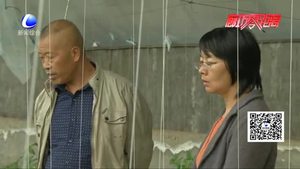 持續(xù)陰雨降溫天氣 亟待加強農業(yè)管理防范損失