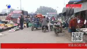 秋菜市場(chǎng)“遇冷”“老三樣”量足質(zhì)優(yōu)卻“賣(mài)不動(dòng)”