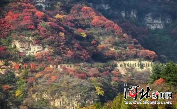 駝梁、大海陀自然保護區(qū)建設項目獲準立項