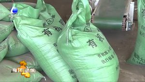 永清縣農業(yè)垃圾變廢為寶 化身“有機肥料”重回農田