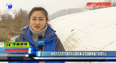 降雪天氣為農作物帶來雙重影響