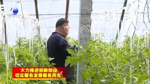 安次區(qū)碼頭鎮(zhèn)“農技保姆”田間助春耕