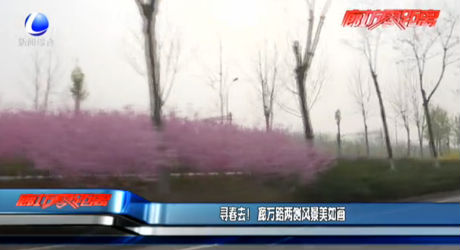 尋春去！廊萬路兩側(cè)風(fēng)景美如畫