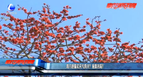 胃不舒服和天氣有關(guān)？是真的嗎？