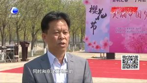 為鄉(xiāng)村振興戰(zhàn)略助力 天津寧河區(qū)首屆櫻花旅游節(jié)開幕
