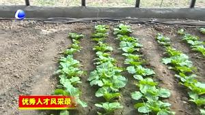 劉君：利用農業(yè)信息化技術 提升為農服務水平