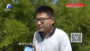 沉迷手機(jī)的孩子 內(nèi)心快樂(lè)嗎？