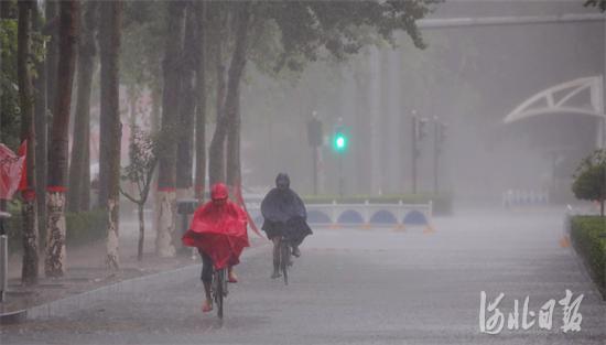 廊坊多部門聯(lián)動全力應(yīng)對臺風(fēng)“安比”強降雨