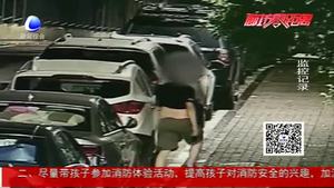 路邊停車(chē)圖方便 車(chē)主損失近萬(wàn)元