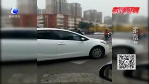 情侶花式秀恩愛(ài) 共享單車還能這樣騎