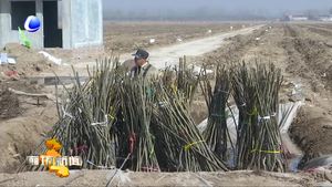 全國人大代表方金華：服務(wù)果農(nóng)面對(duì)面“兩會(huì)”精神到田間
