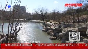 清明出門(mén)旅游 忙于“打卡