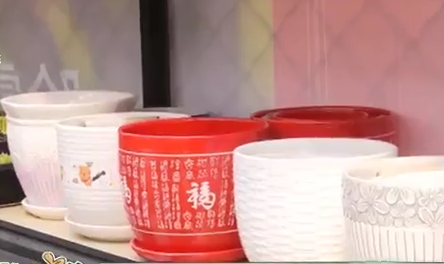 春季花卉換盆正當時