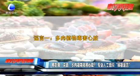 零距離求真：多肉植物毒害心臟？專業(yè)人士盤點(diǎn)“綠植謠言”