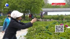 老年人期盼”說(shuō)走就走的旅行“跟團(tuán)游不應(yīng)高門檻