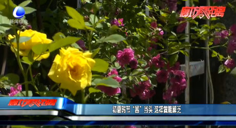初夏時節(jié)“困”當頭 這樣做能解乏