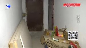 小區(qū)地下室成流浪貓居所 跳蚤成災 物業(yè)：已經(jīng)發(fā)布清理公告