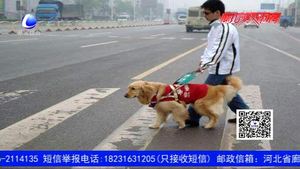 國(guó)際盲人節(jié)：盲人的世界不只有黑暗 請(qǐng)用愛為他們守護(hù)“光明”