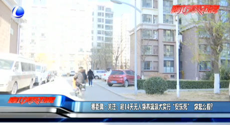 零距離·關(guān)注：超14天無人領(lǐng)養(yǎng)流浪犬實(shí)行“安樂死” 你怎么看？