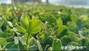 廊坊好生活，讓你的生活有滋有味