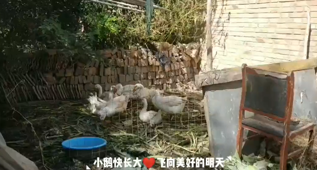 不忘初心牢記使命——打贏脫貧攻堅(jiān)戰(zhàn)王樹(shù)華家
