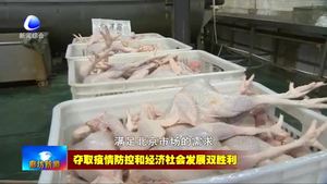 固安迪諾斯環(huán)?？萍加邢薰荆悍馈耙摺鄙a(chǎn)兩手抓 加緊復(fù)工生產(chǎn)