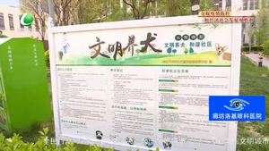 創(chuàng)城，我們一起：專項(xiàng)整治在行動(dòng) 引導(dǎo)市民依法文明養(yǎng)犬