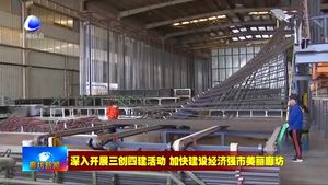 國(guó)網(wǎng)大廠縣供電公司：服務(wù)“不打烊” 惠企“零距離”