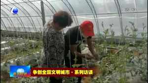 爭(zhēng)創(chuàng)全國(guó)文明城市·系列訪談——市農(nóng)林科學(xué)院