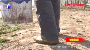 路貴?。河媚_步丈量土地 用汗水守護(hù)碧水