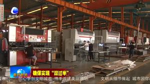 文安縣：抓轉(zhuǎn)型 引項目 聚財力