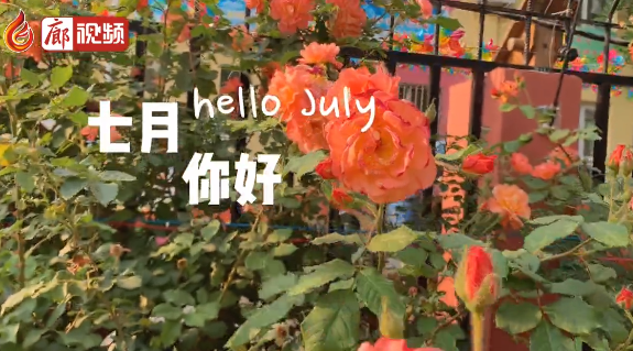 廊視頻 | 六月再見，七月你好
