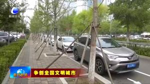 市區(qū)金光道部分路段施劃車(chē)位少 車(chē)輛無(wú)處停