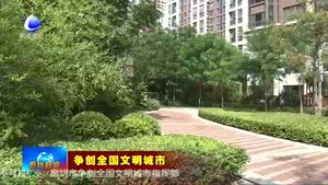 廊坊開(kāi)發(fā)區(qū)：聚焦目標(biāo)鉚干勁  共創(chuàng)共建文明城