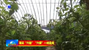 興蘆集團(tuán)：廣開思路促創(chuàng)新 升級(jí)改造固發(fā)展