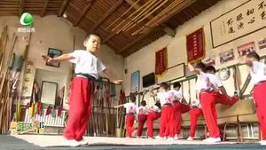 非遺傳承——勝芳鎮(zhèn)泉樂武術會“武德至上 已善為根”