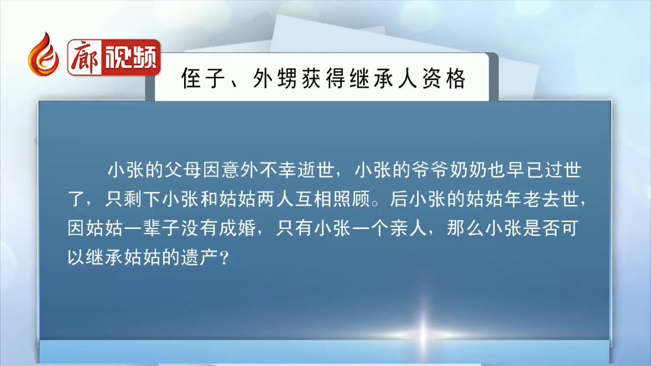  廊視頻 | 侄子、外甥獲得繼承人資格