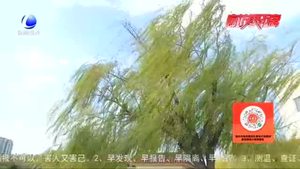 雨后的廊坊 真美！