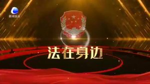 【法在身邊】瞞報(bào) 謊報(bào)疫情 要付出怎樣的代價(jià)？