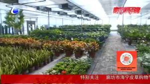 盛世農(nóng)合生態(tài)農(nóng)業(yè)園區(qū)：觀賞游玩帶動消費(fèi) 用鮮花走出致富路